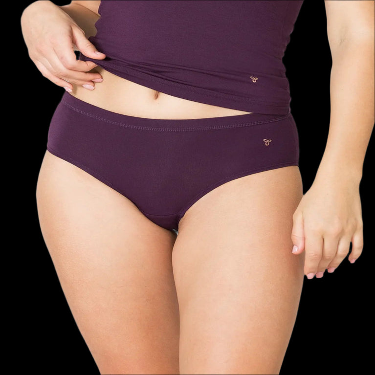Premium Micro Modal Panty ( Pack Of 2 )