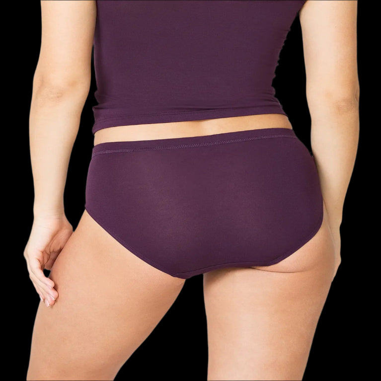 Premium Micro Modal Panty ( Pack Of 2 )