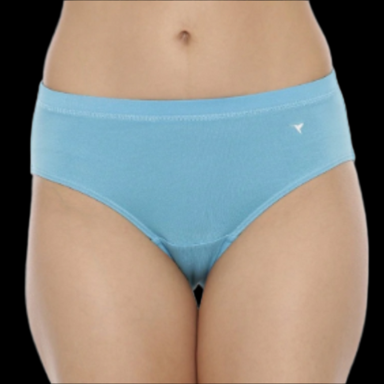 Stretchable Hipster Panties