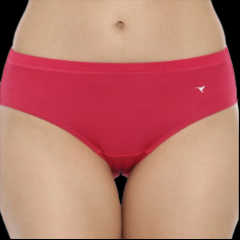 Stretchable Hipster Panties