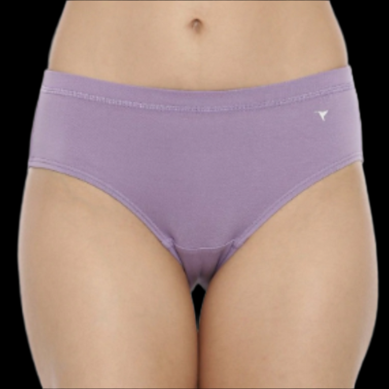 Stretchable Hipster Panties